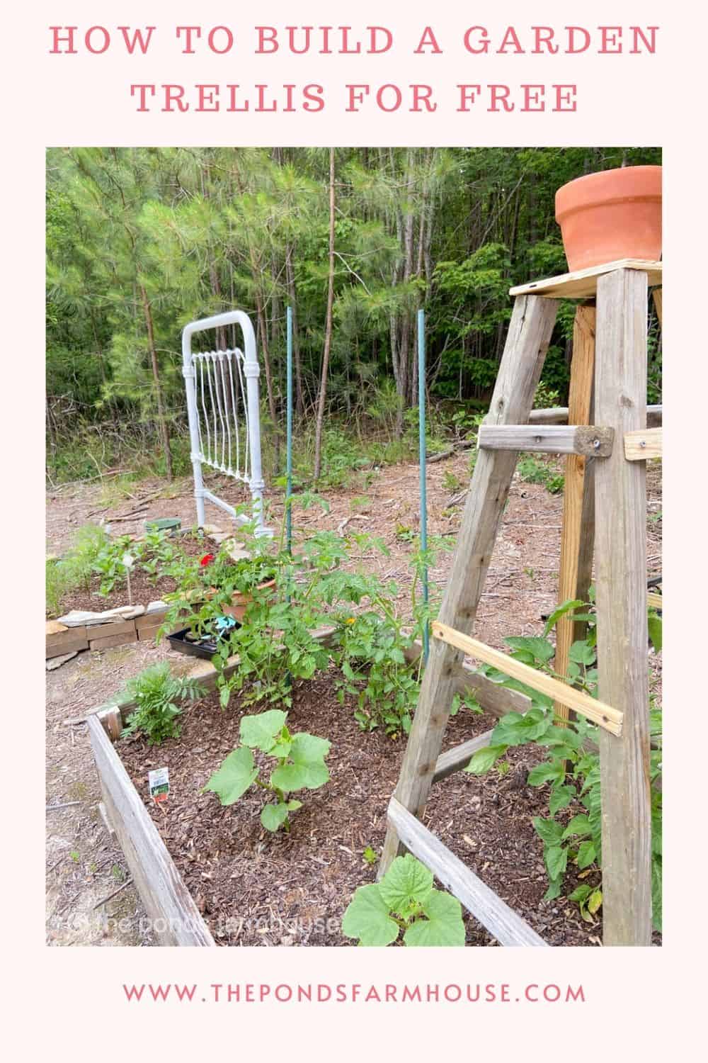 How to Build a Garden Trellis from Wood - Free Standing Obelisk