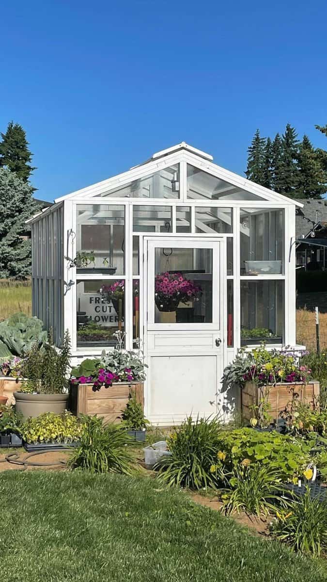 9 Diy Greenhouse   She Shed Decor Ideas And Summer Tour