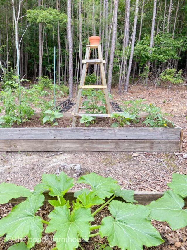 Budget DIY Garden Obelisk