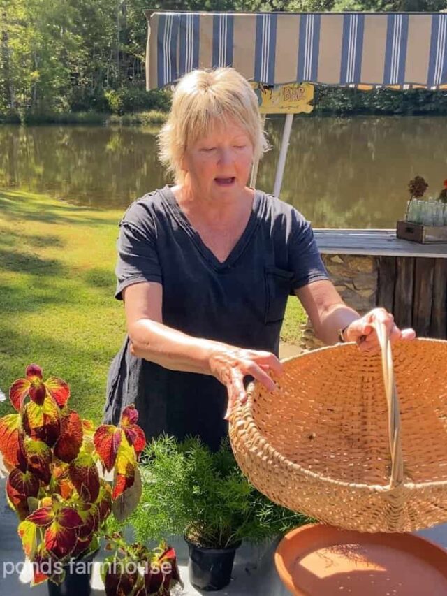 Vintage basket used to gather seasonal plants to make waste not centerpiece.