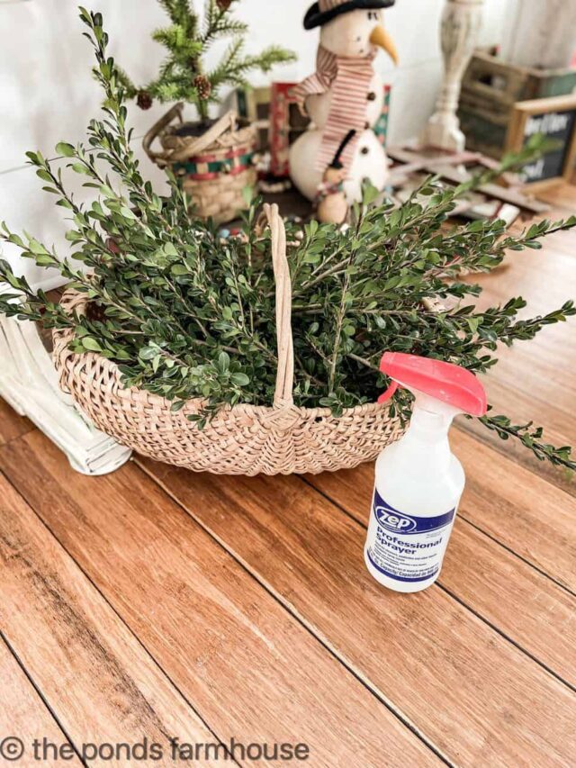 Tips To Keep Christmas Evergreens Looking Fresh