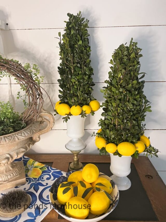 DIY Boxwood Topiaries: Budget Decor Tutorial