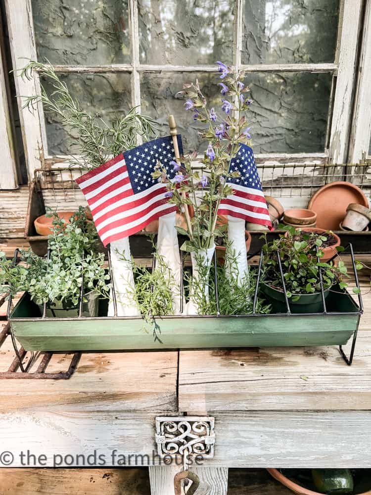 Patriotic herb centerpiece. Herb centerpiece on potting bench.