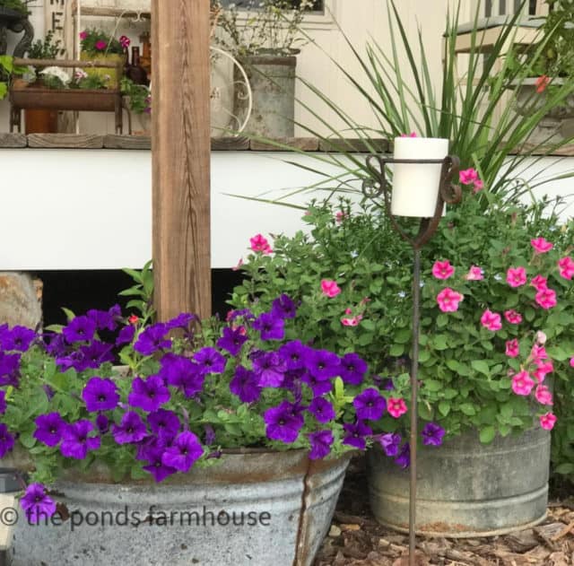 How To Use Galvanized Tub Planters in Your Landscape