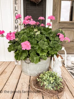 How To Use Galvanized Tub Planters in Your Landscape