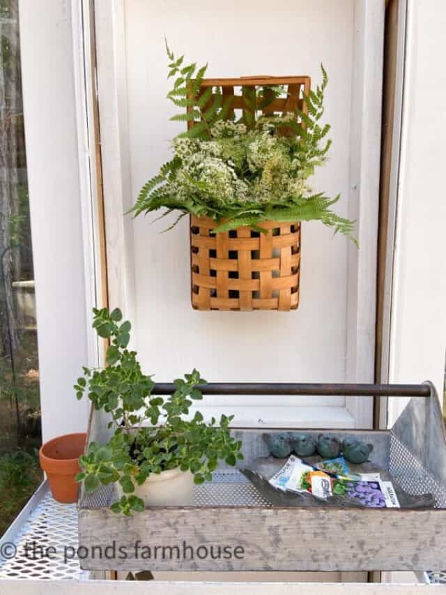 How To Make A Free  Queen Anne’s Lace Arrangement