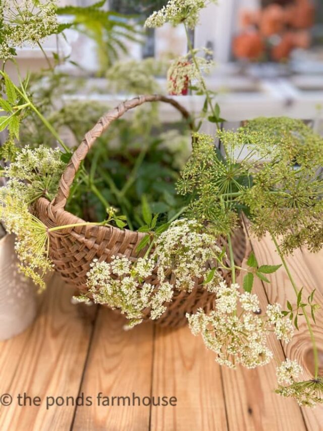 Easy Free Wild Flower Basket Arrangement