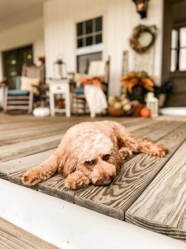 Fall Farmhouse Porch Tour