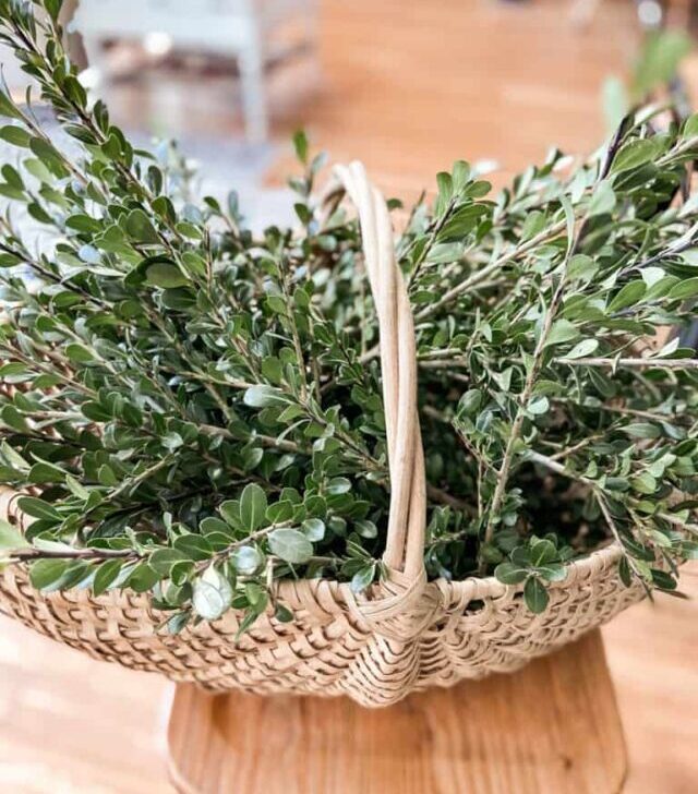 cropped-Christmas-Greenery-7-768x1024-1.jpeg