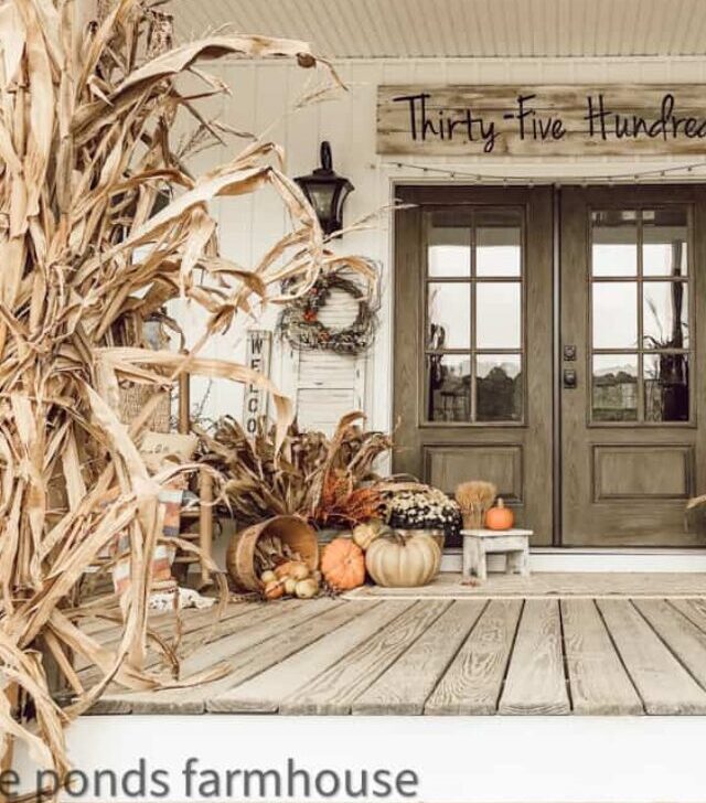 cropped-Front-Porch-with-corn-stalks-Early-Fall-Decorating-Inspiration.jpg