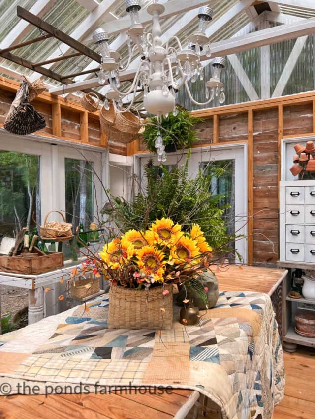 Basket of sunflowers in DIY Greenhouse.