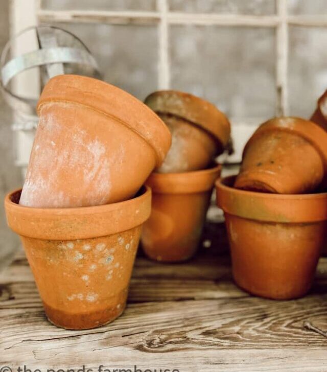 cropped-clay-pots-Thrifted-Vintage-Gardening-Decor-Ideas.jpg