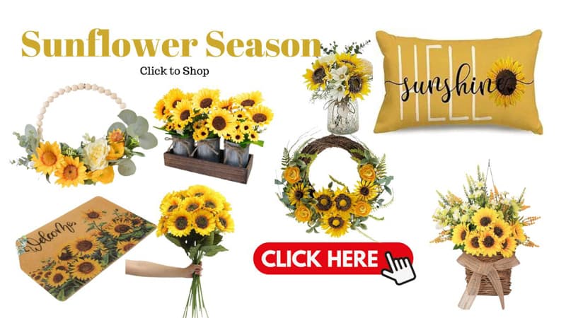 Sunflower Season click to shop.  