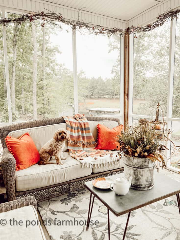 How To Decorate a ScreenedIn Porch for Fall Entertaining