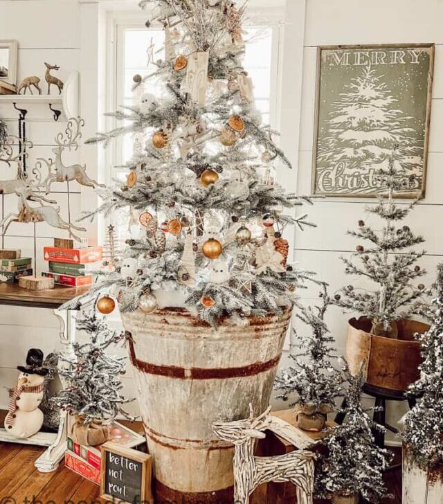 cropped-Woodland-Christmas-Tree-in-olive-buicket.jpg