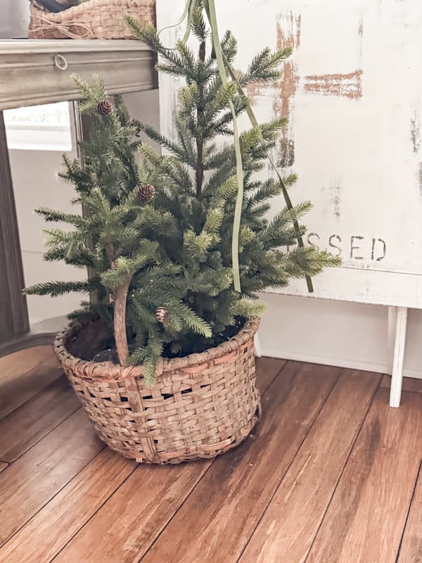 bare mini Christmas trees in vintage baskets 