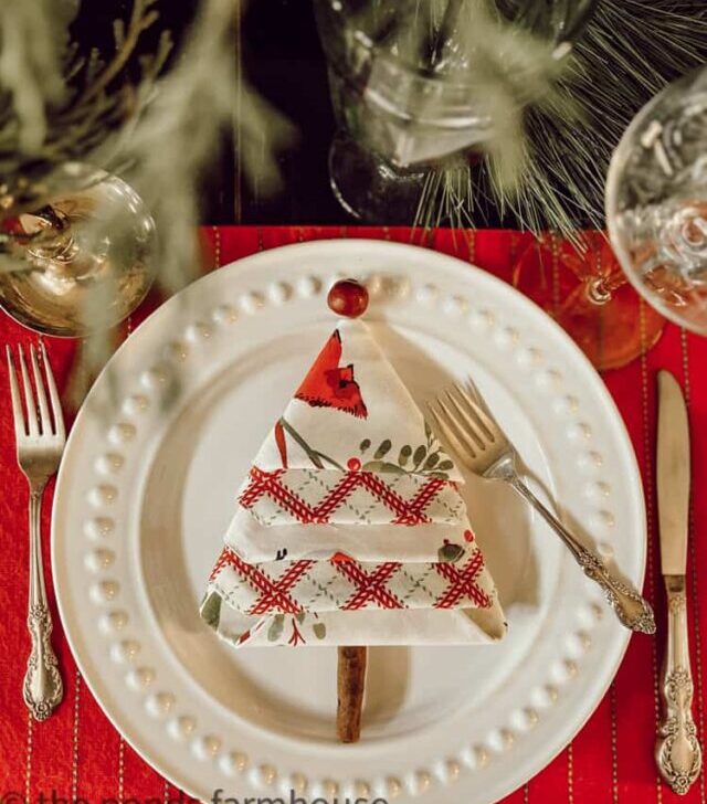 print-Christmas-Tree-Napkin-Fold-on-plate-with-cranberry-and-cinnamom-