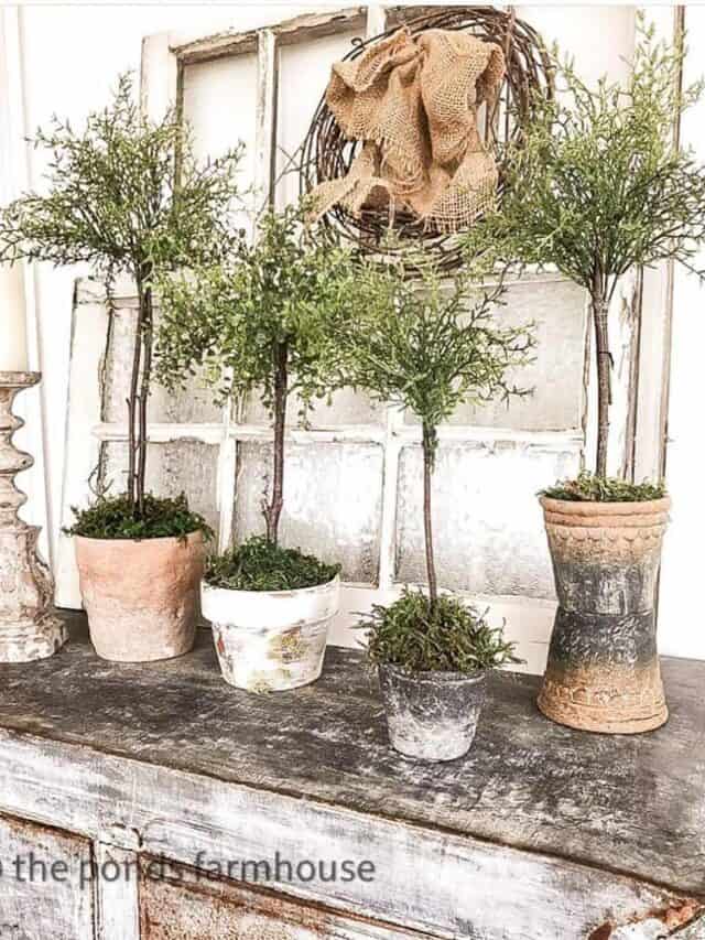 Decorating with Topiaries in Modern Farmhouse Style