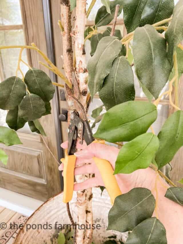 Make a Cherry Blossom Tree From A Recycled Ficus Tree