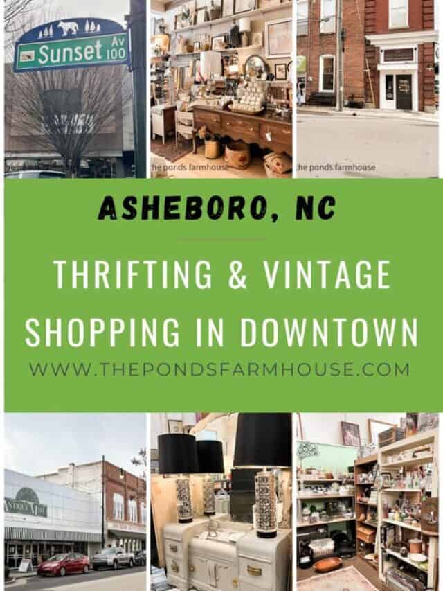 Thrifting in Asheboro,  NC