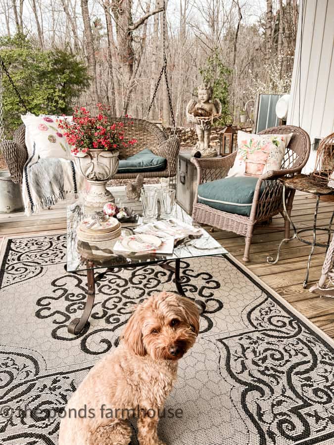 https://www.thepondsfarmhouse.com/wp-content/uploads/2023/03/Rudy-at-coffee-table-on-front-porch-Easter-Porch-Decorating.jpg