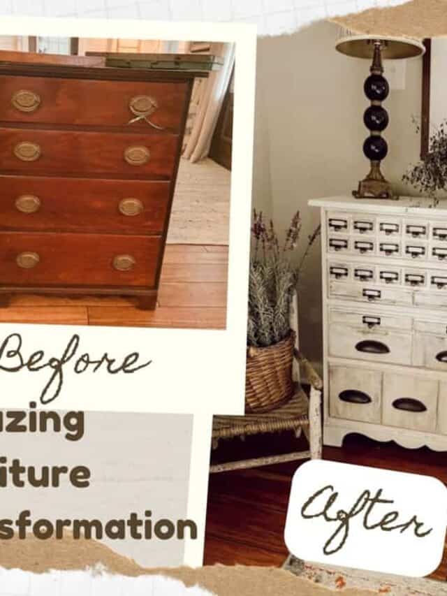 Amazing Furniture Transformation The Ponds Farmhouse   Cropped Amazing Furntiure Transformation 