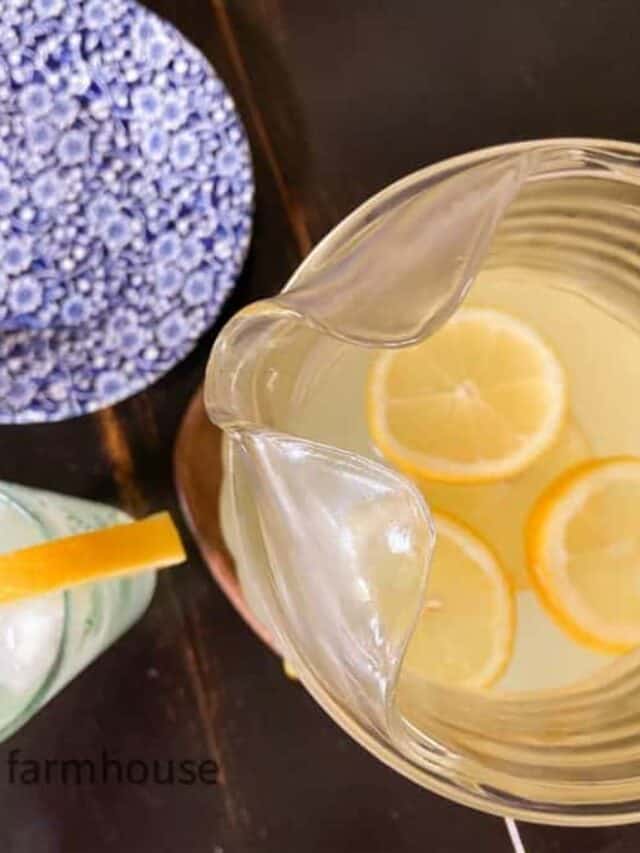 Best Fresh Squeezed Lemonade Recipe