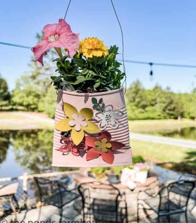 cropped-Petunias-in-recycled-plant-holders-1-1.jpg