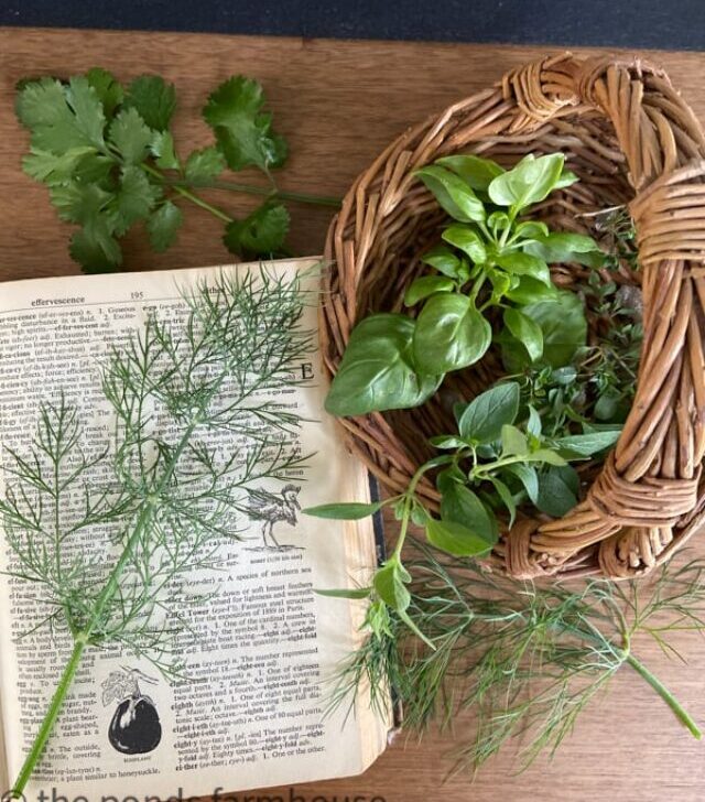 cropped-herbs-in-basket-1.jpg