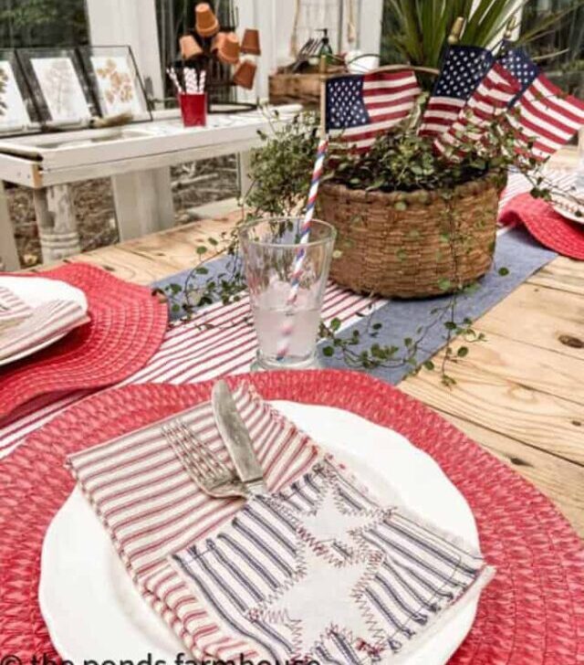 cropped-ticking-fabric-patriotic-cutlery-pocket-napkins.jpg