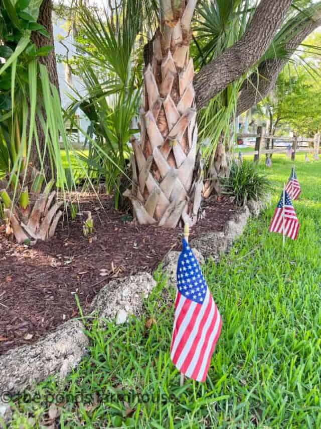 A Fun Patriotic Dirt Road Adventures