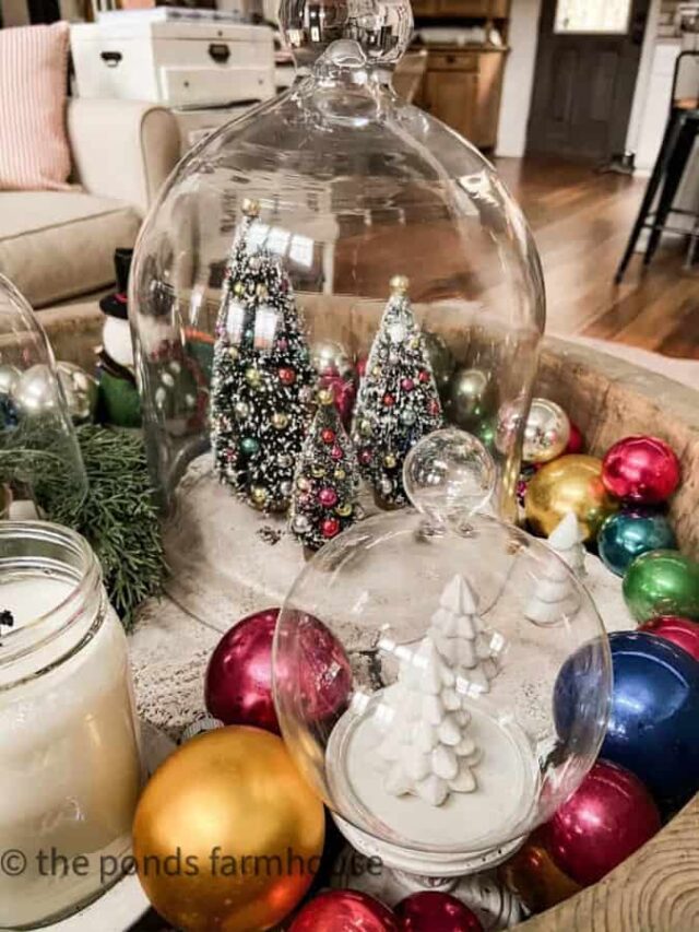 Cloche Inspiration: Seasonal Decorating Ideas