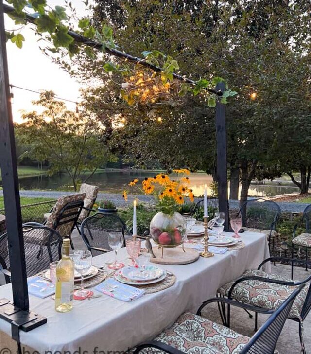 cropped-Early-evening-view-of-peach-tablescape-6.jpg