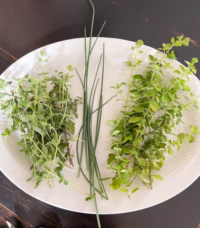 cropped-Herbs-on-white-plate.jpg