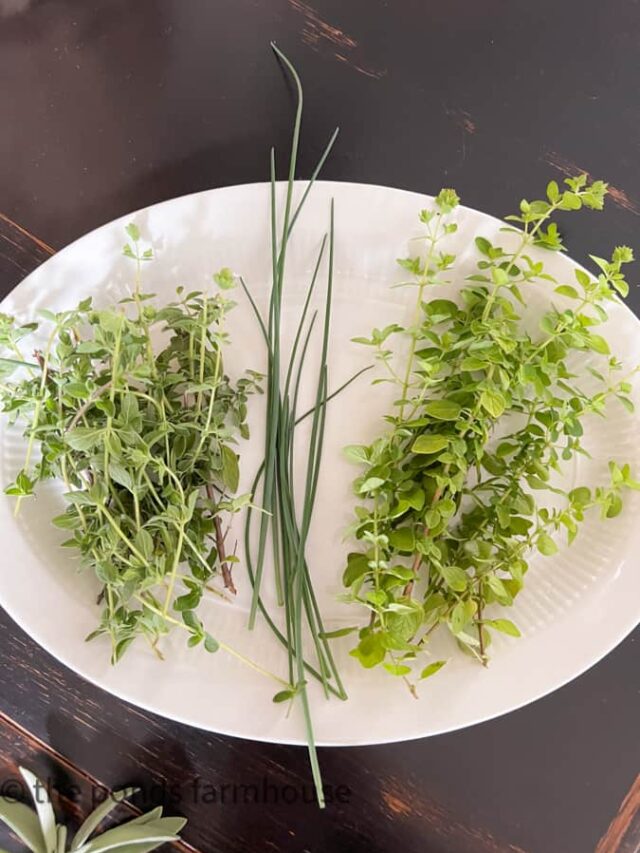 Dry Herb For Out Of Season Money Savings