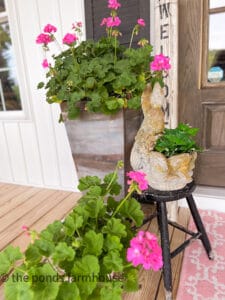 Best Tips To Keep Geraniums Blooming: Spring to Fall