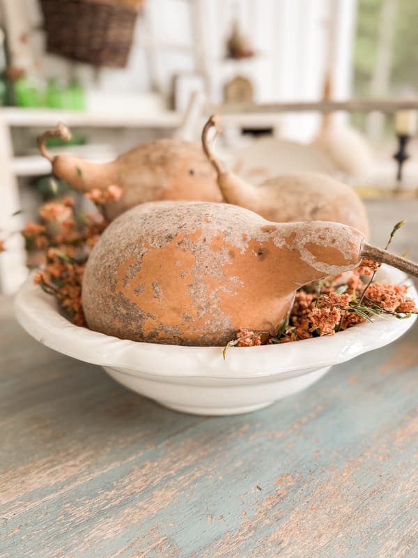 Large ironstone bowl with a missing pitcher is perfect for a centerpiece filled with dried grouds for fall decorating. 