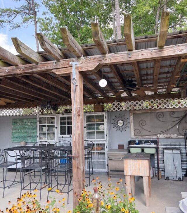 cropped-Bird-Deterrent-Device-at-Outdoor-Kitchen.jpg