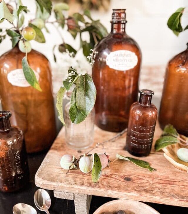 cropped-persimmon-stems-in-amber-bottles-1.jpg