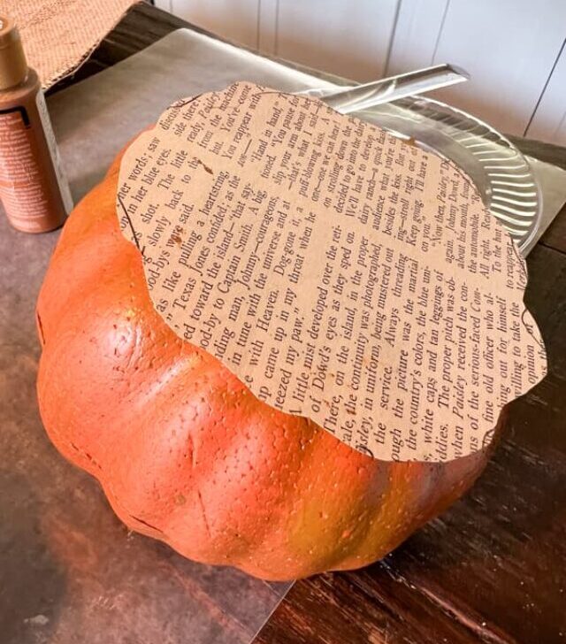 cropped-trace-bottom-of-pumpkin-cut-from-book-Old-Book-Page-Pumpkin-Craft.jpg