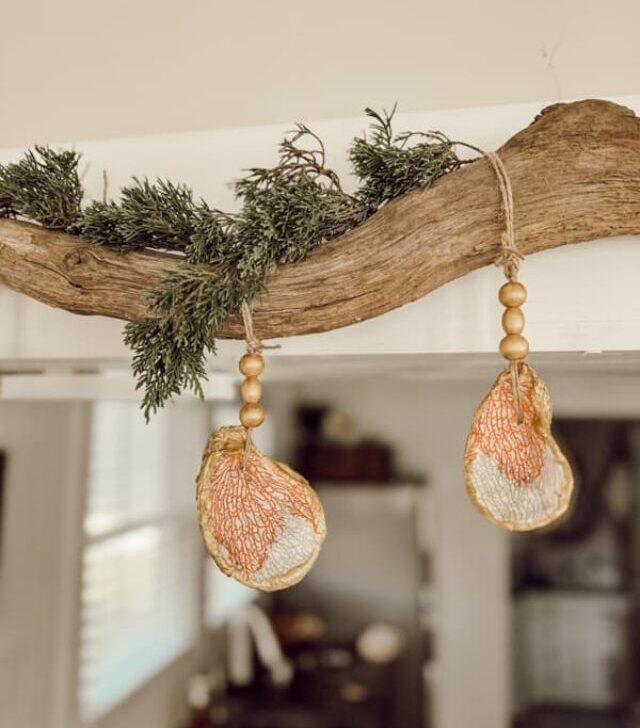 cropped-Decoupage-Oyster-Shell-Christmas-Ornaments-close-up-of-shells-on-driftwood.jpg