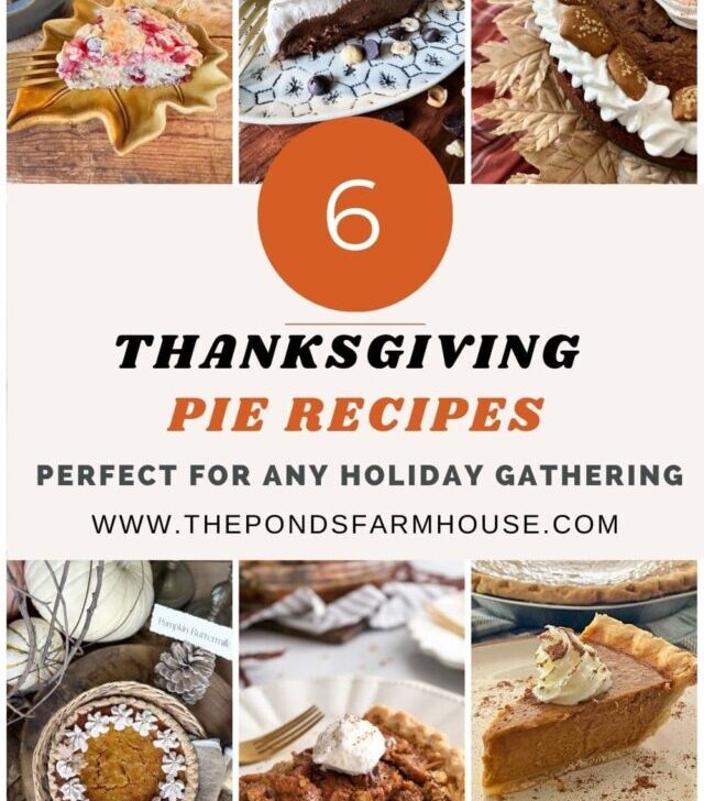 cropped-Thanksgiving-Pie-Recipes-1.jpg