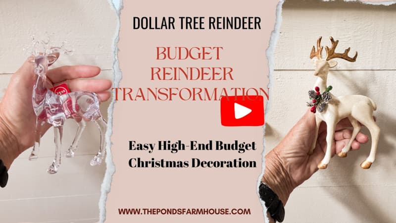 Reindeer Transformation Video