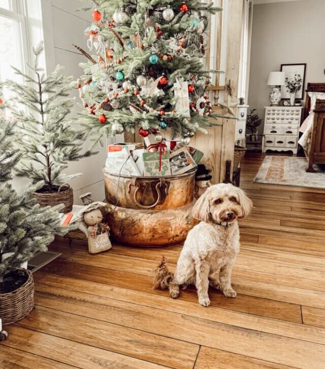 cropped-Curated-Home-Rudy-Christmas-tree.jpg