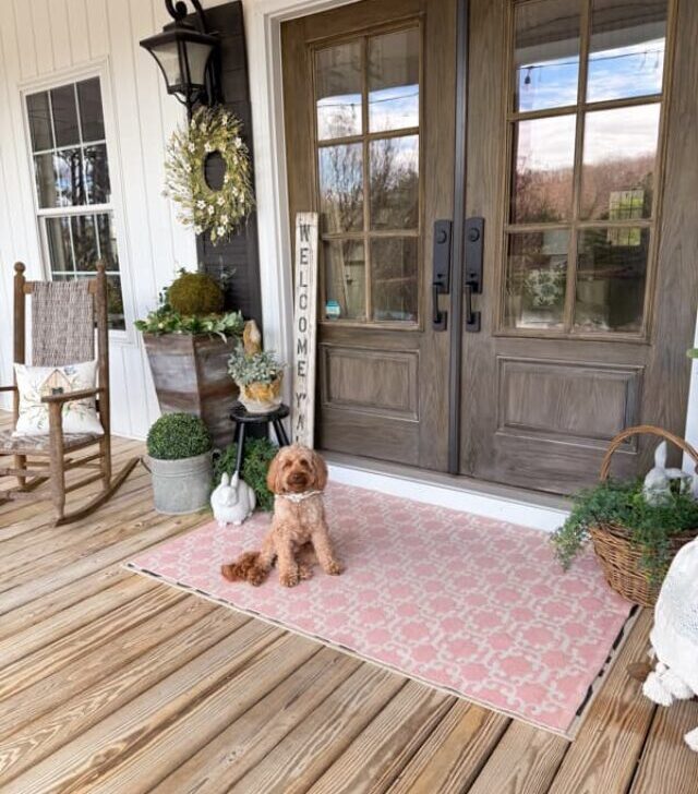 cropped-Front-Porch-with-Rudy-on-Pink-Rug-and-planter-vignette.jpg