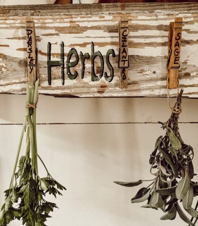 cropped-Herb-Drying-Rack-hanging-on-plate-rack-3.jpg