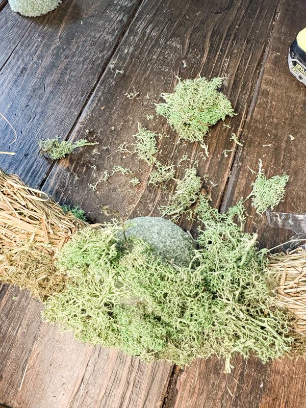 Refresh old recycled wreath with fresh reindeer moss.  Cover styrofoam with moss.