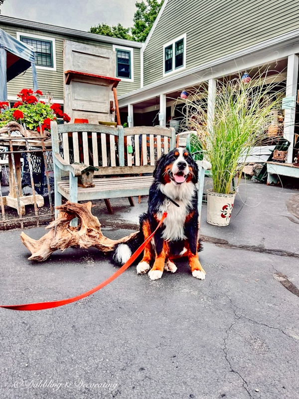 Antique shopping in Maine with Ella.