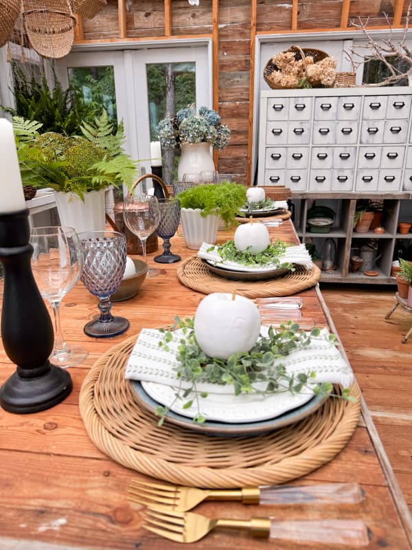 Place setting with pottery dishes and DIY Napkins and Apples on long table in Greenhouse