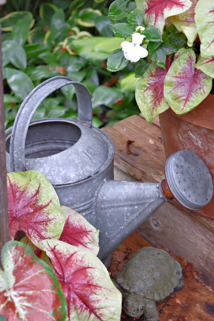 Outdoor garden decorations from thrift stores.